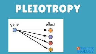 PLEIOTROPY for NEET AIIMS AIPMT MCAT JIPMER PREMED [upl. by Ynnattirb]