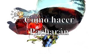 Como hacer Pacharán Licor de Endrinas [upl. by Rudie]