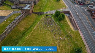 Rat Race  The Wall  2023 [upl. by Obediah286]