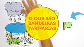 O que são bandeiras tarifárias [upl. by Nicholson170]