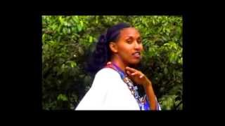 Ethiopian Amharic MusicGenet Masresha wollo [upl. by Demmahom209]