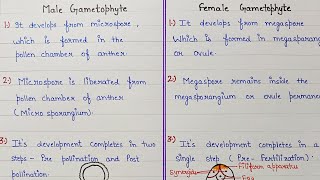 difference between male gametophyte and female gametophyte  reproduction in plants class 12 [upl. by Darn]