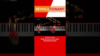 CHOPIN Revolutionary Etude [upl. by Tennaj350]