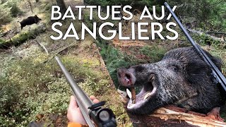 UN BEAU KEILER EN MONTAGNE   Chasse aux sangliers en battues [upl. by Khosrow]