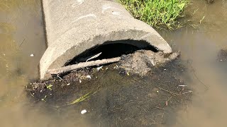 Unclogging Giant Culvert [upl. by Yadrahs557]