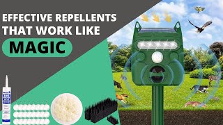 Best Bird Repellents That Actually Work [upl. by Trebreh901]