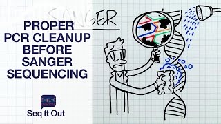 Proper PCR Cleanup before Sanger Sequencing  Seq It Out 12 [upl. by Trik]