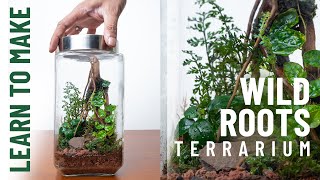 Learn to make a Forest Terrarium  Wild Roots [upl. by Annhej]