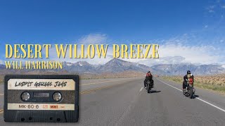 Desert Willow Breeze  Will Harrison  LNSPLT Garage Jams [upl. by Sirtimed]