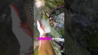 Il MOSTRO del MICRO🤏spinfly bigbrown microtorrente browntrout handmadelure fishing [upl. by Yhtomiht]