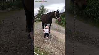 मस्तीखोर horse 🐴 और छोटी बच्ची ने ऐसा kya किया कि ye viral हो गए🥹🙂 [upl. by Akimehs638]