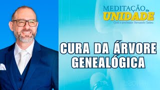 Cura da Árvore Genealógica – Meditação da Unidade – 151124 [upl. by Hecklau]