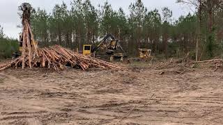 Tigercat loaders in first thinning [upl. by Gnilyarg]