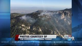 UPDATE Mount Lemmon wildfire has slowed overnight [upl. by Haerdna]