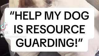 “HELP My dog is resource guarding” Tips from a qualified dog trainer [upl. by Llenahs]