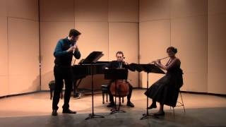 Stridulation for Two Flutes and Cello [upl. by Angelina]