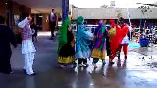 Afghan Dance on multicultural day 7th Oct 2009 [upl. by Larner]