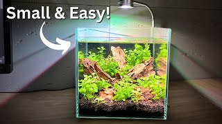 Beginner Nano Shrimp Tank Easy NoFilter 2 gallon Setup [upl. by Haerdna]