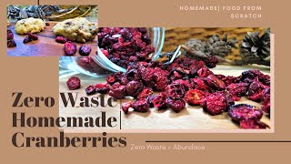 How to Make Dehydrated Cranberries from Scratch [upl. by Seagraves911]