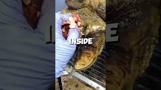 Large PUS Abscess  HOOF EDITION satisfying hoof cows [upl. by Nosac]