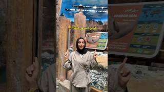 شوفتوا أسد وعجل البحر قبل كدا🙈 اكسبلور سفر ترند رحلات travel travelfood dubai [upl. by Lettig]