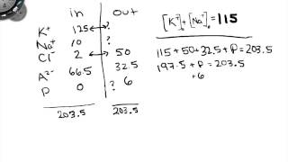 Solving An Eqilibrium Problem [upl. by Obe]