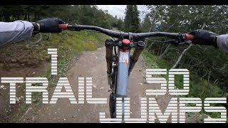 Wingman 15 🇸🇪 Åre Bike Park  Swedens ALine [upl. by Ettennor]