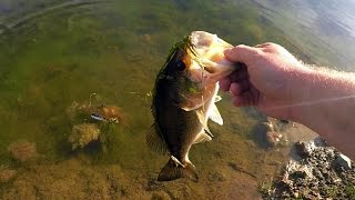 A Bass On Every Bait Ultimate Pond Fishing Challenge [upl. by Anerys]