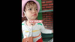 Ada burungcutechild cute funny cutetoddlerfunnychild lucu love happy life daily dailyvlog [upl. by Repmek]