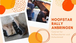 Hufbearbeiter Tutorial Hoofstar Klebebeschlag anbringen und abnehmen  FAQ  Hoofstar [upl. by Mercie]