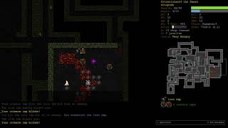 Octopode Wizard of Nemelex Part 2  Dungeon Crawl Stone Soup [upl. by Macgregor]