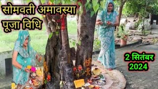 2 सितंबर 2024 somvati Amavasya Pooja  सोमवती अमावस्या की सरल पूजा विधि नियम जानें फेरी कैसे लगाएं [upl. by Dur604]