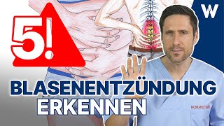 Plötzliche Blasenentzündung Diese Symptome solltest du kennen amp dann schnell handeln  5 Tipps [upl. by Nwahsir]