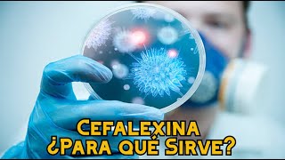 Cefalexina ¿Para qué Sirve [upl. by Pasahow]