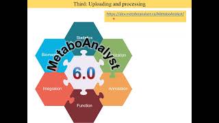 Tutorial Metaboanalyst R [upl. by Sherr289]