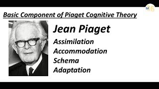 Basic Component of Piaget Theory  Schema  Assimilation  Adaptation  Accommodation  CTET [upl. by Baniez]