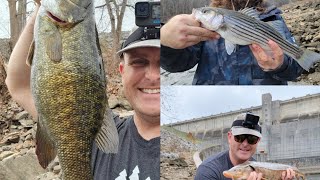 INSANE Wolf Creek Dam FishingSturgeon Trout Bass and Striper SO MANY FISH [upl. by Adnama]