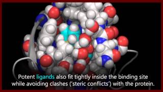 A basic introduction to drugs drug targets and molecular interactions [upl. by Yhtur]