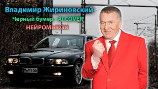 Владимир Жириновский  Черный бумер Серега AI COVER [upl. by Abel177]