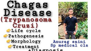 Chagas’ disease  Trypanosoma cruzi  Causes Life cycle  pathogenesis  treatment [upl. by Gonzalez484]