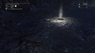 Ebrietas cheese position at 0m 48s Bloodborne [upl. by Genie779]