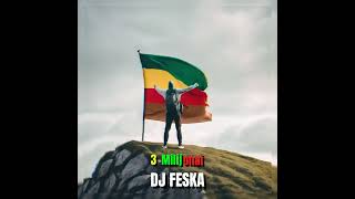 3 Milijonai DJ Feska remix [upl. by Alaaj]