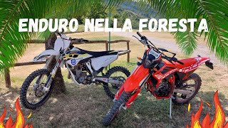 ENDURO NELLA FORESTA AMAZZONICA🔥😱  Beta rr 125 4T  Husqvarna FC 250 4T [upl. by Henriette956]