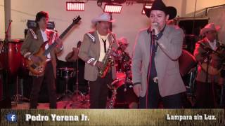 LAMPARA SIN LUZ quot PEDRO YERENA JR quotEN VIVO EN MONTERREY NL [upl. by Kamin]