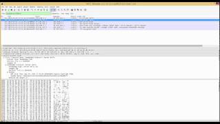 SSLTLS in action with Wireshark [upl. by Eskil856]