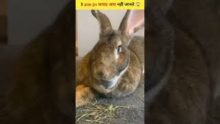 3 aise jiv shayad ap nahi jante youtubeshorts viralvideos [upl. by Dionisio]