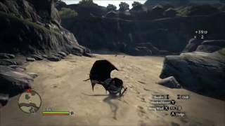 Dragons Dogma  Fast Leveling of Vocations while keeping low level bird respawning trick [upl. by Nosnirb126]