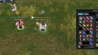 Silkroad pvp nuker ss 118 12D Legend 12 [upl. by Yroffej414]