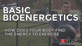 Basic Bioenergetics How does your body find the energy to exercise [upl. by Eeloj461]