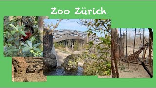 Zurich Zoo  the super excursion destination  Zoo Zürich  Das super Ausflugsziel [upl. by Kussell]